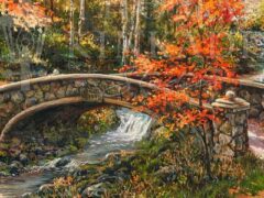 Fall at Fox Creek Bridge Category