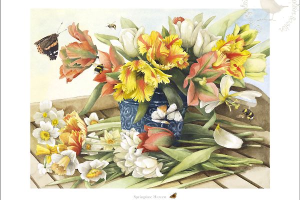 Springtime Harvest By Marjolein Bastin