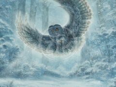 Snowy Owl Painting By Zac Kinkade